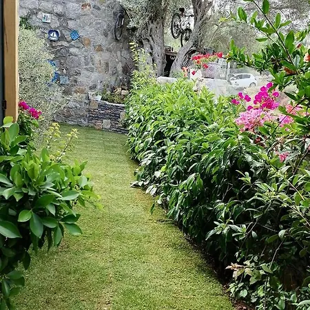 Tas Villa